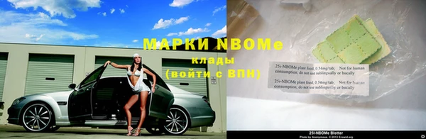 apvp Новозыбков
