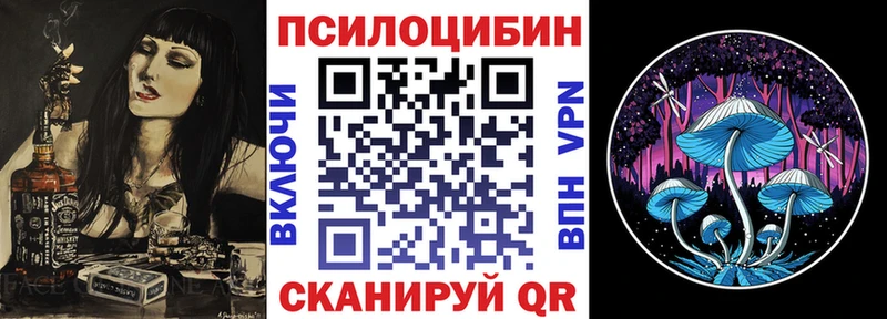 mega онион  как найти   Яхрома  Псилоцибиновые грибы Cubensis 